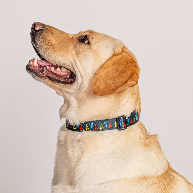 Star Trek Deltas Pet Collar