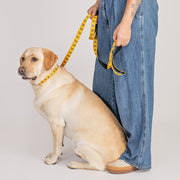Star Trek: The Original Series Command Pet Leash